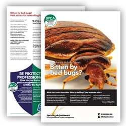 a-z bed bugs a-z bed bugs